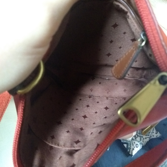 The flawed fossil purse - Picture 8 of 12